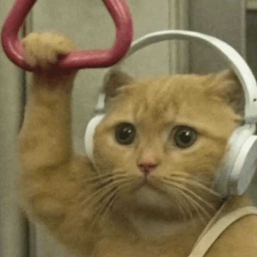 Figurinha: Gatinho ouvindo música no transporte
