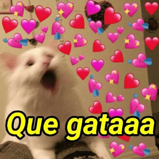 Figurinha: Que gataaa