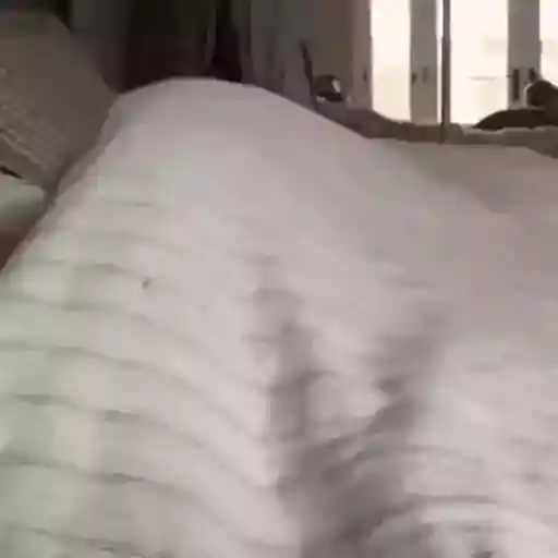 Figurinha: Gatinho preguiçoso na cama