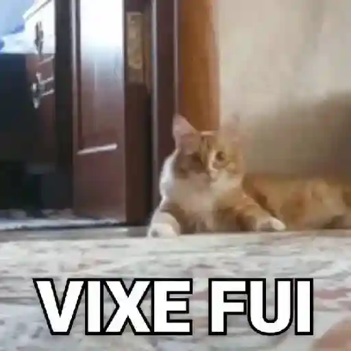 Figurinha: Gato Vixe Fui