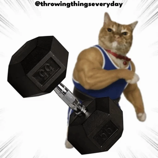 Figurinha: Gato marombeiro