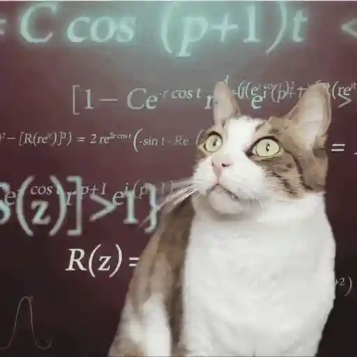 Sticker: Gato matemático confuso