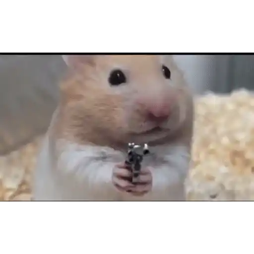 Figurinha: Hamster Pistoleiro