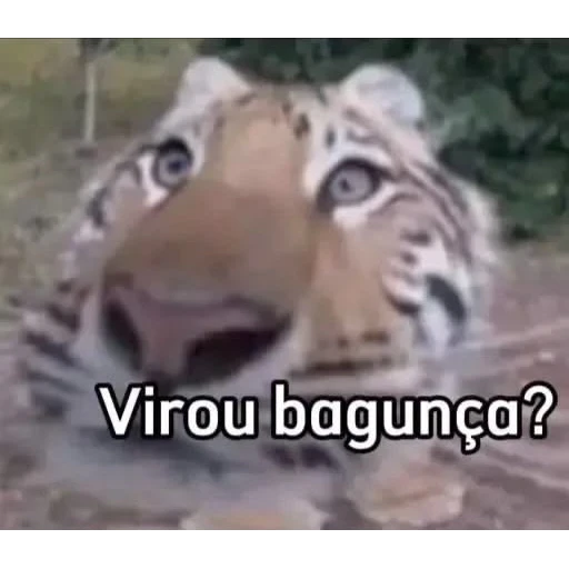 Figurinha: Virou bagunça?
