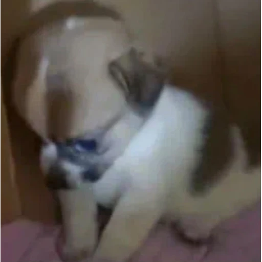Sticker: Sad puppy