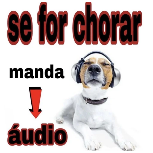 Figurinha: Se for chorar manda áudio