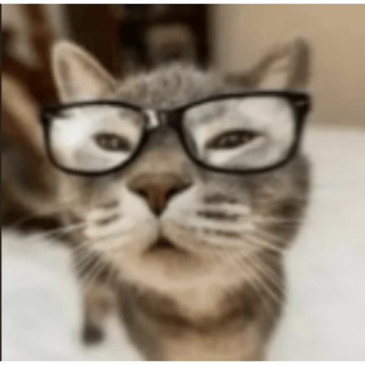 Figurinha: Gato de óculos