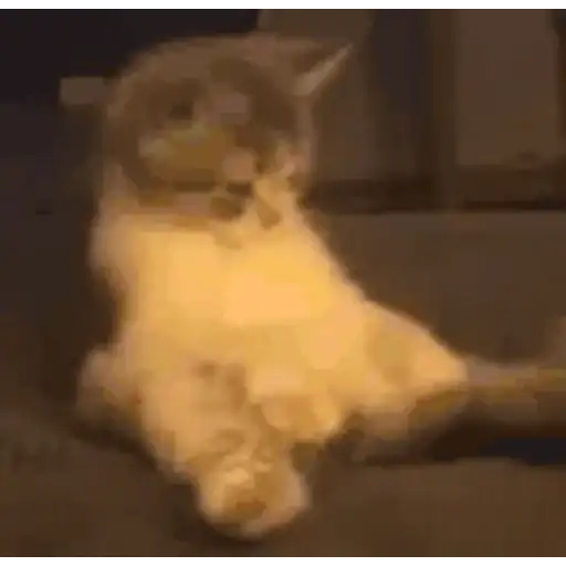 Figurinha: Gatinho sentando e levantando