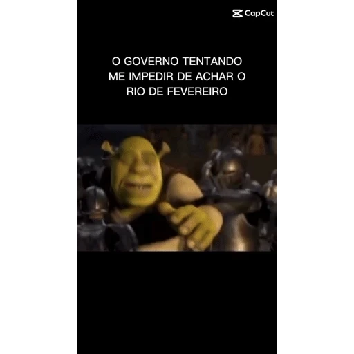 Sticker: Shrek vs the government