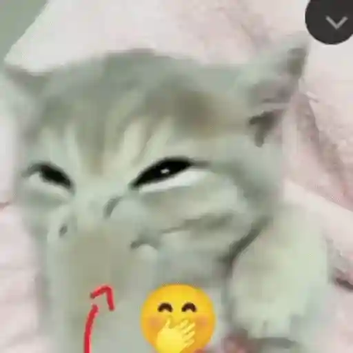 Sticker: Laughing kitten