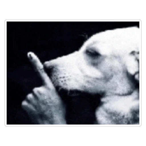 Figurinha: Cachorro fazendo silêncio