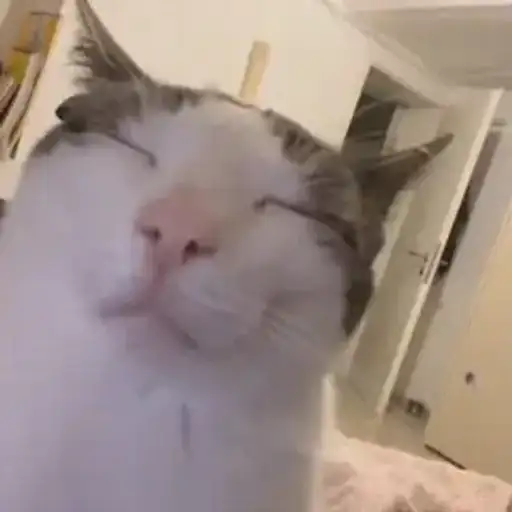 Figurinha: Gato satisfeito