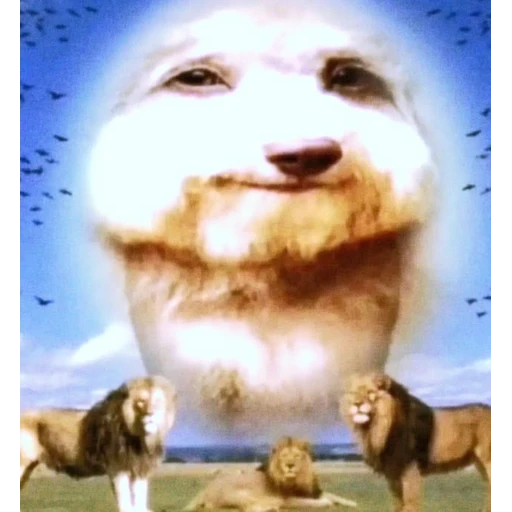 Figurinha: Cachorro Divino