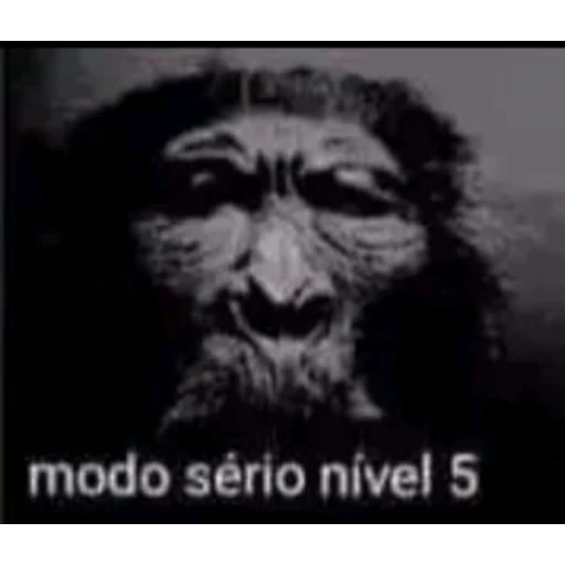 Figurinha: Modo sério nível 5