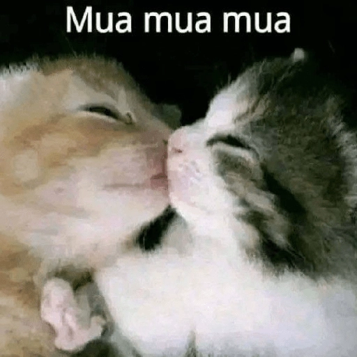 Sticker: Mua mua mua