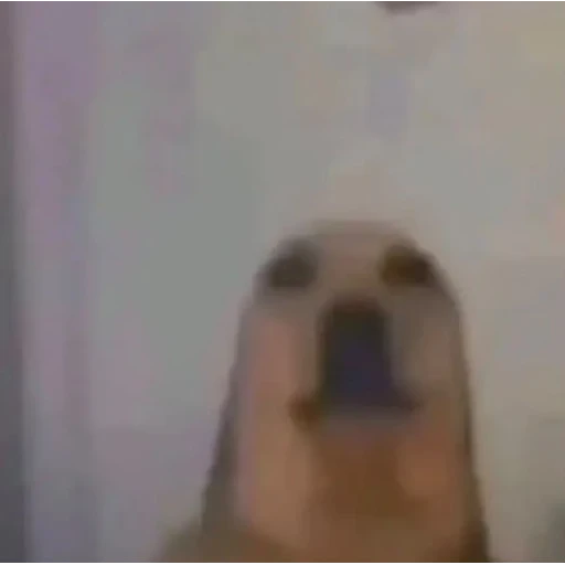 Figurinha: Cachorro distorcido