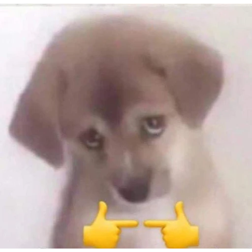 Figurinha: Cachorrinho Tímido