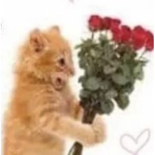 Figurinha: Gatinho com flores