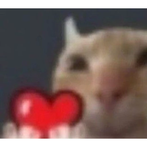 Figurinha: Gato com coração