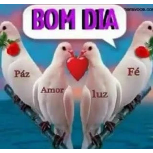 Figurinha: Bom Dia com Pombas
