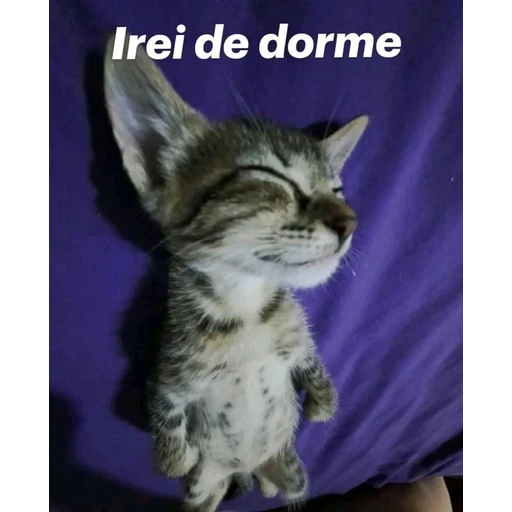 Figurinha: Irei de dorme
