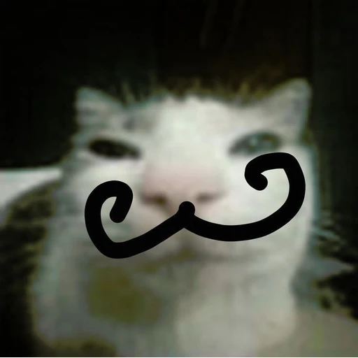 Sticker: Gato con bigote