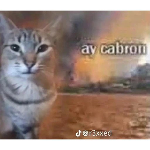 Sticker: Ay cabron