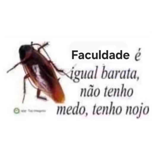 Figurinha: Faculdade é igual barata
