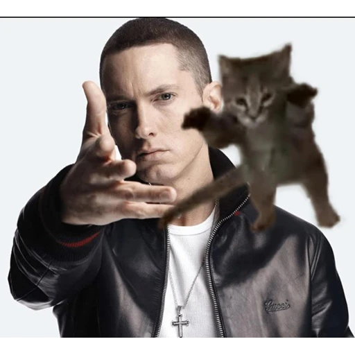 Figurinha: Eminem e Gatinho