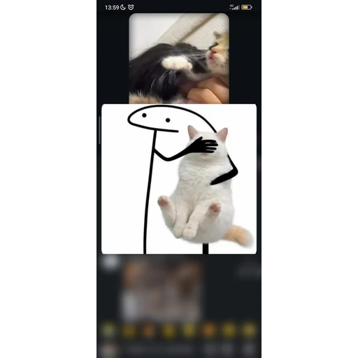 Figurinha: Flork cobrindo os olhos do gato