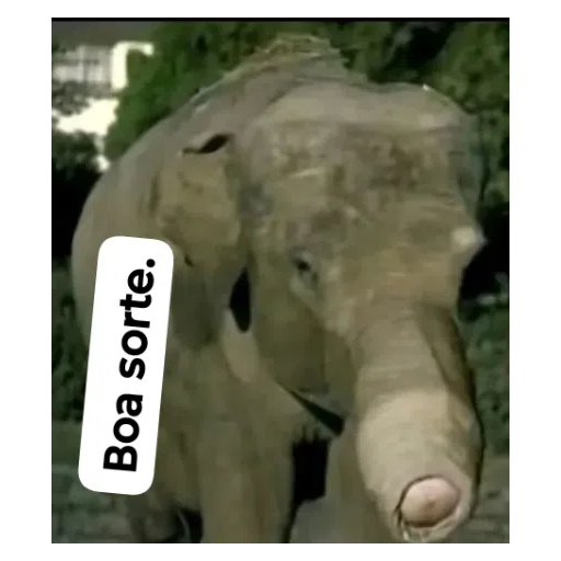 Sticker: Good luck elephant