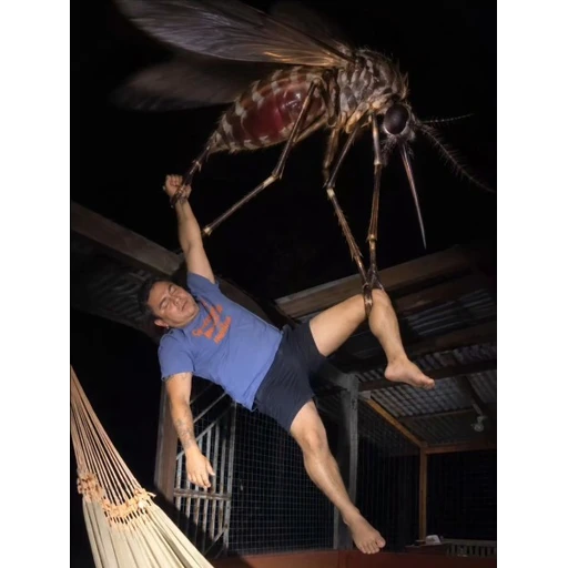 Figurinha: Mosquito gigante