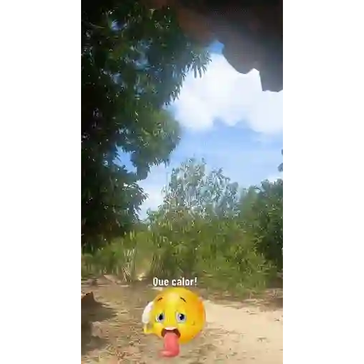 Figurinha: Que calor!