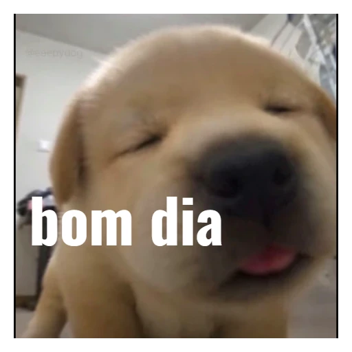Figurinha: Bom dia