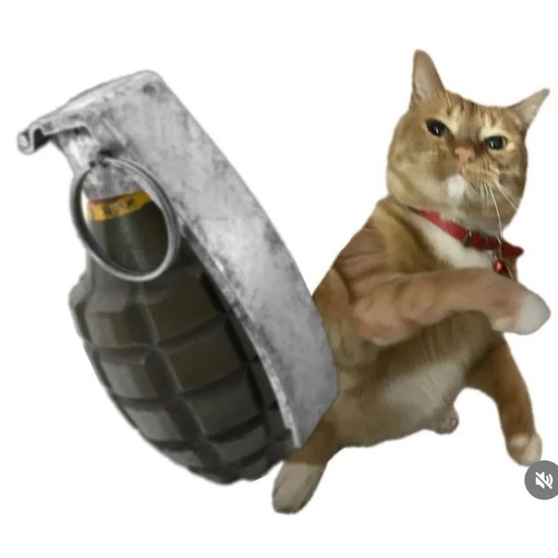 Figurinha: Gato com granada