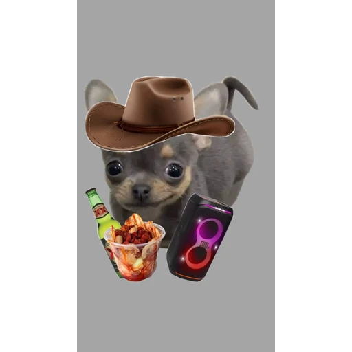 Figurinha: Cachorrinho Cowboy