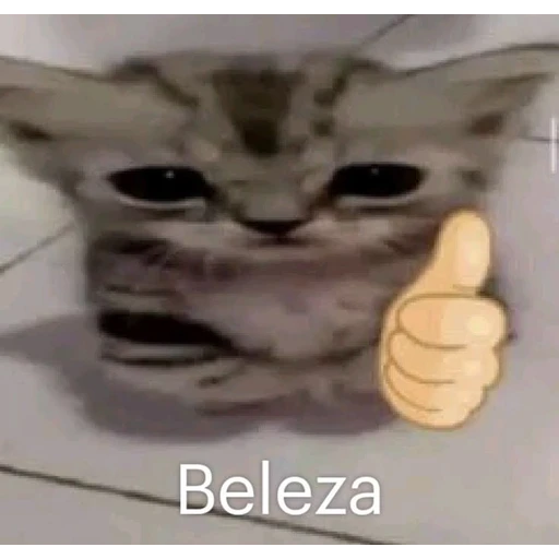 Sticker: Gatito lindo pulgar arriba