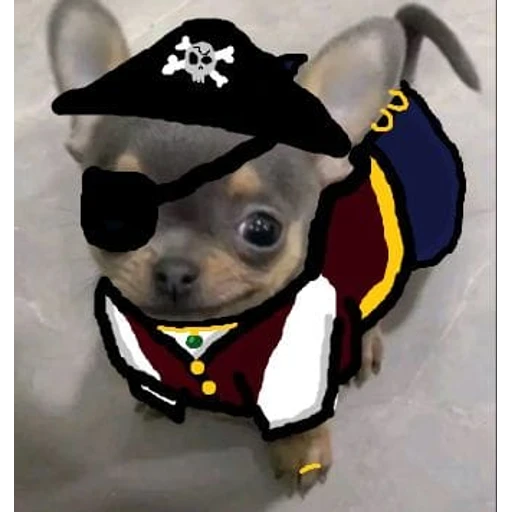 Sticker: Perrito pirata