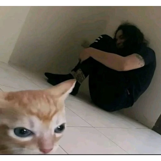 Sticker: Kitten and depression