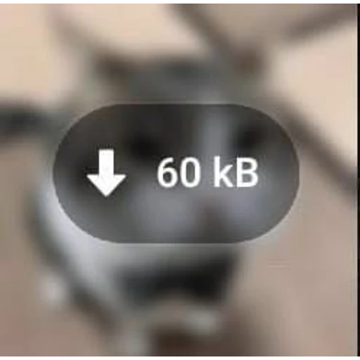 Sticker: Gato de 60 kB