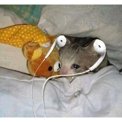 Figurinha: Gatinho triste ouvindo música