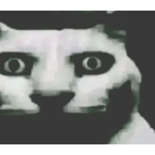 Figurinha: Gato Assustado