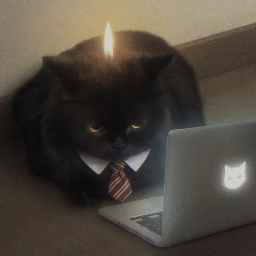 Sticker: Harry Potter Executive Cat