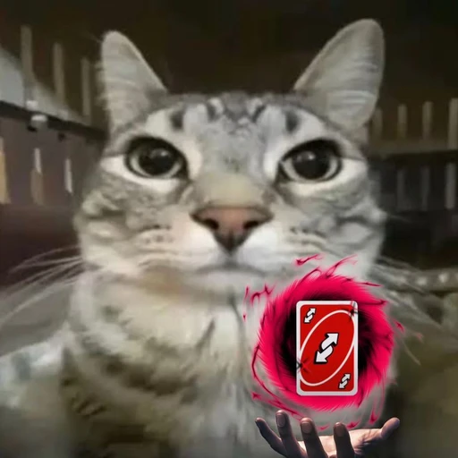 Figurinha: Gato com Carta Reverso