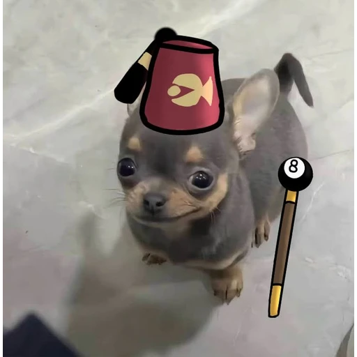 Sticker: Uncle Grandpa Chihuahua