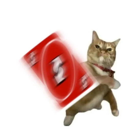 Figurinha: Gato Uno Reversa