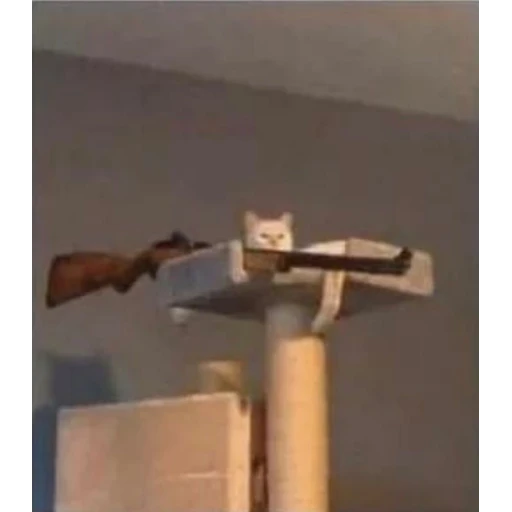 Figurinha: Gato Sniper
