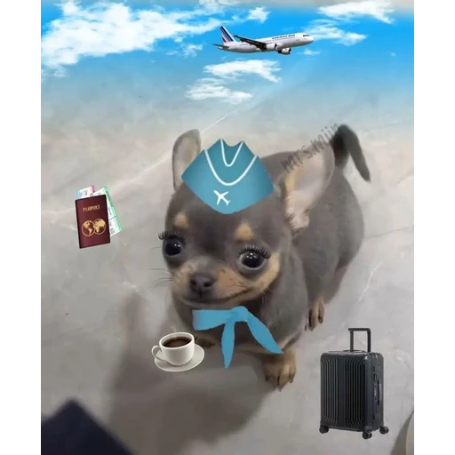Figurinha: Cachorrinho comissário de bordo