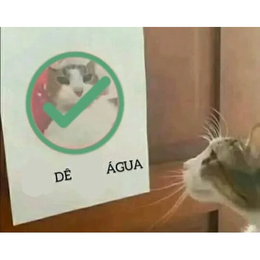 Figurinha: Dê Água