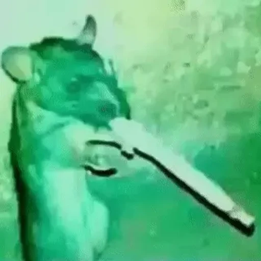 Sticker: Rat with gun